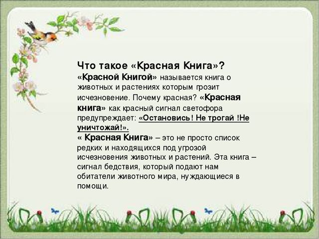 Презентация "Красная Книга "
