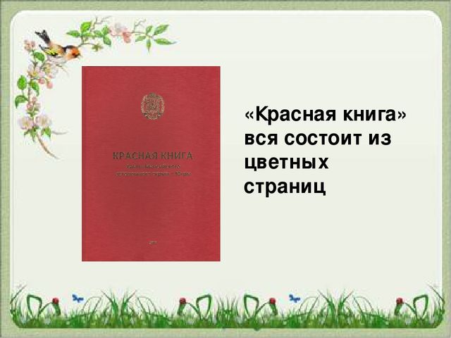 Презентация "Красная Книга "