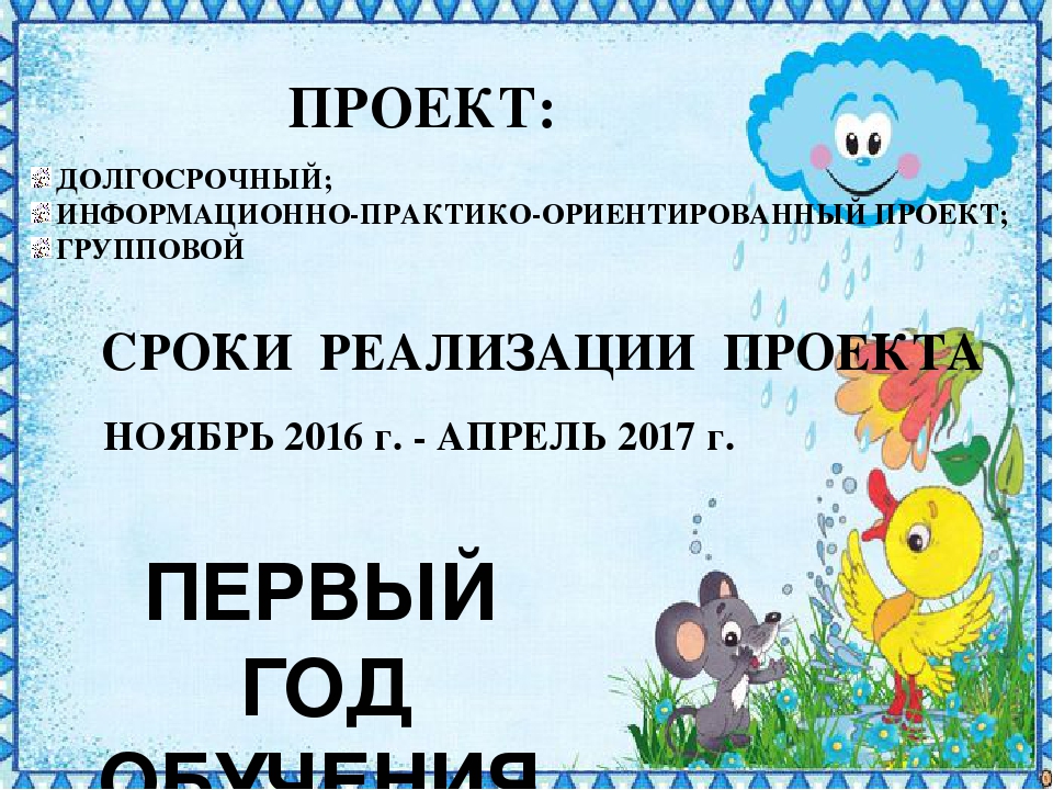 Презентация проекта в младшей группе "Чистюлька"