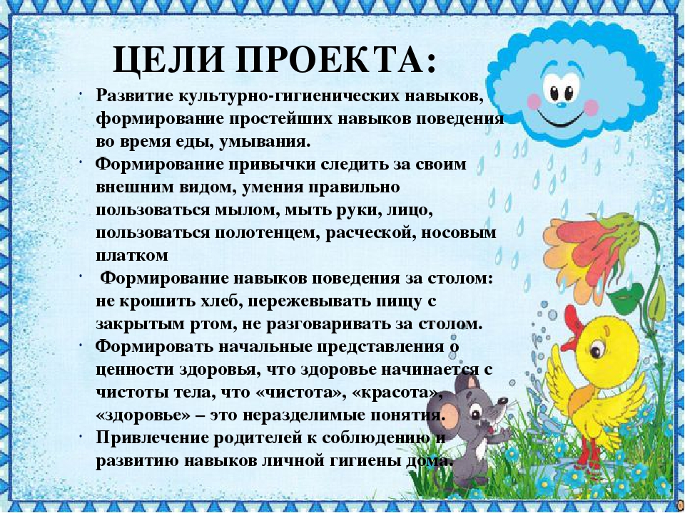 Презентация проекта в младшей группе "Чистюлька"
