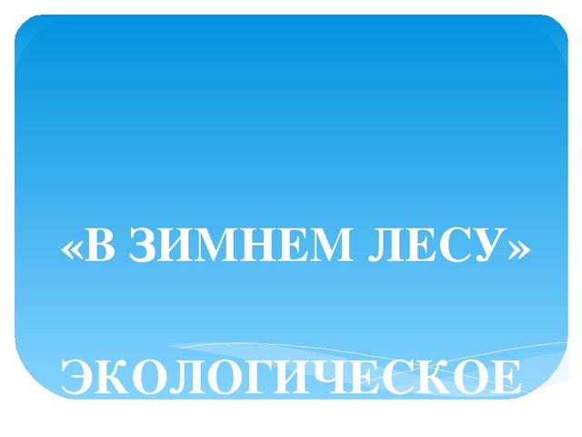 Презентация: Экологическое путешествие "В зимнем лесу"
