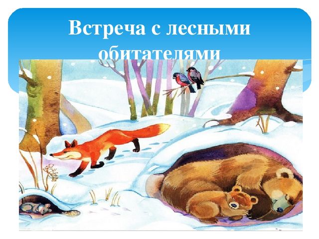 Презентация: Экологическое путешествие "В зимнем лесу"