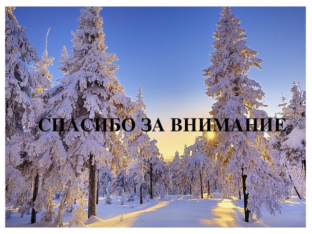 Презентация: Экологическое путешествие "В зимнем лесу"