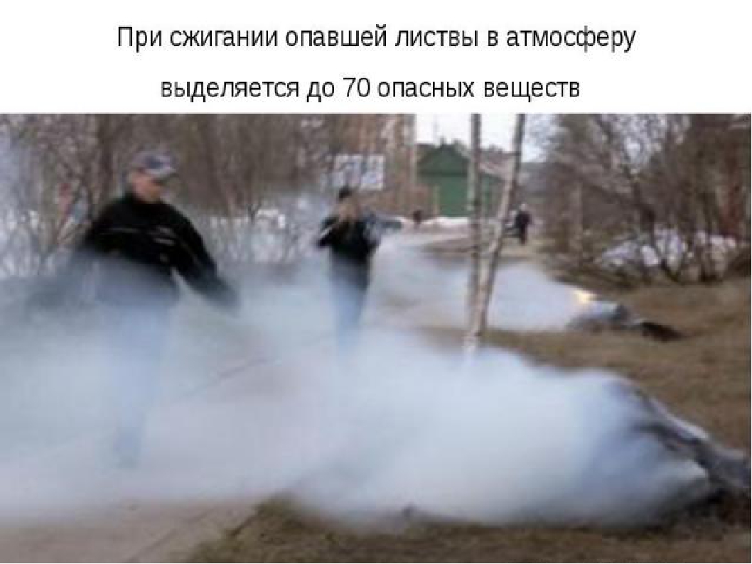Презентация " Воздух которым мы дышим"