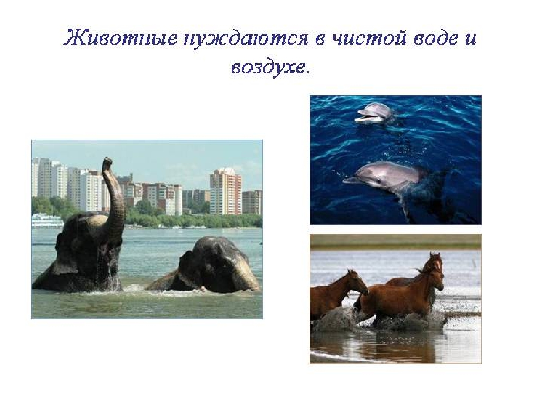 Презентация " Воздух которым мы дышим"