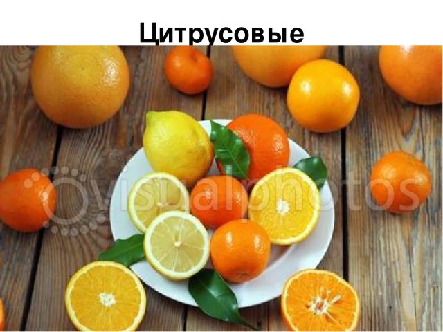 Презентация к НОД по художественному творчеству
