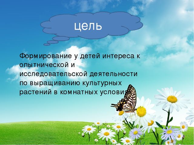 Проект " Огород на подоконнике"