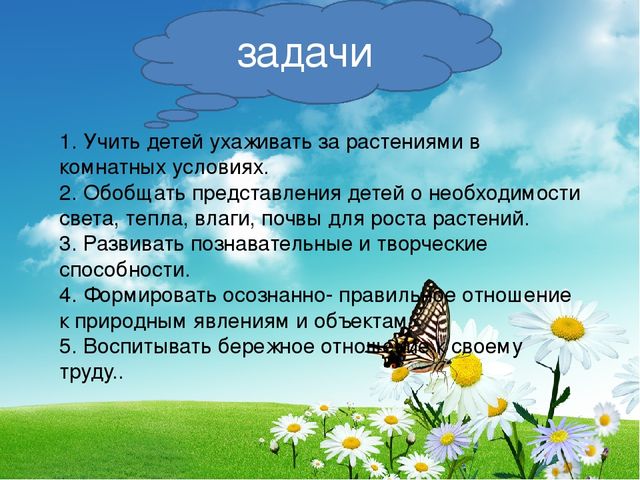 Проект " Огород на подоконнике"