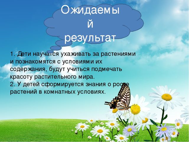 Проект " Огород на подоконнике"