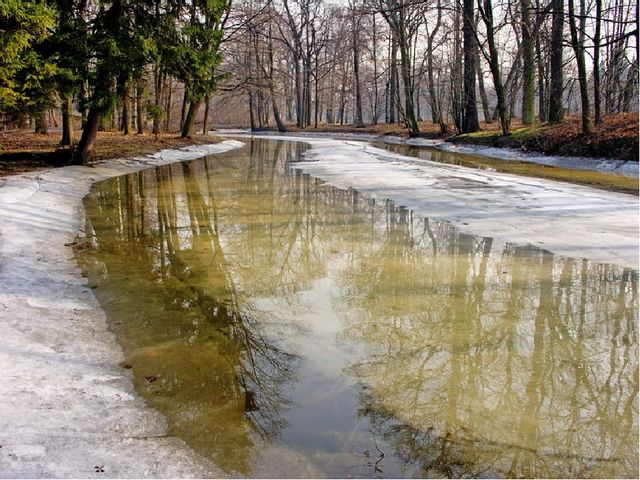 Презентация к занятию " Весна"