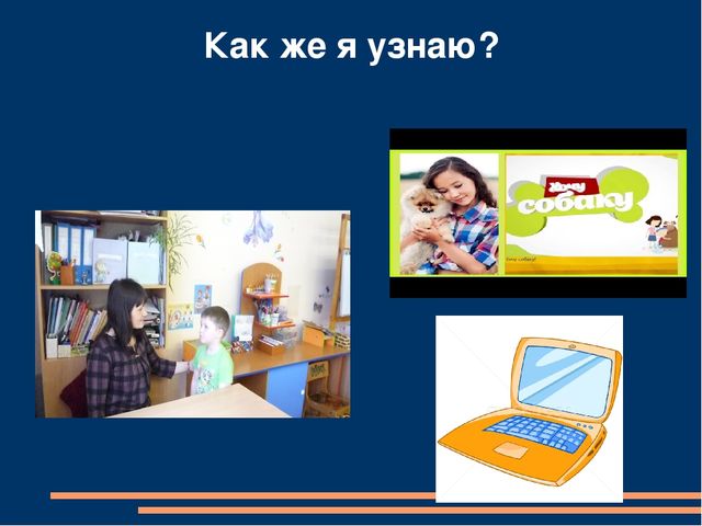 Презентация детского познавательного проекта "Мама, я хочу собачку"