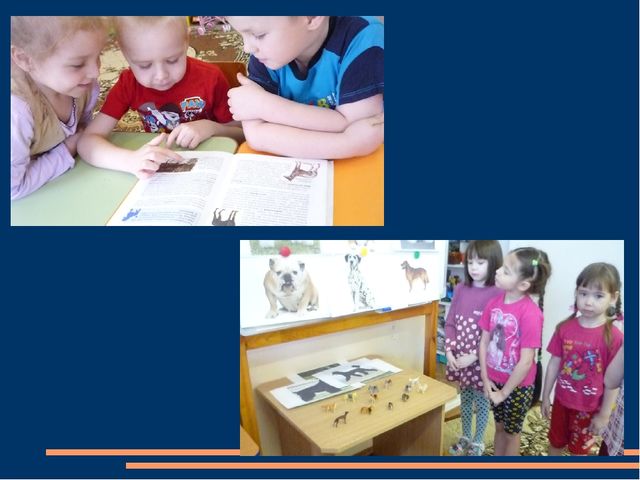 Презентация детского познавательного проекта "Мама, я хочу собачку"