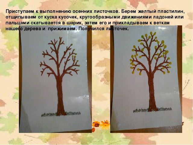 Мастер - класс "Осенне дерево". Пластилинография