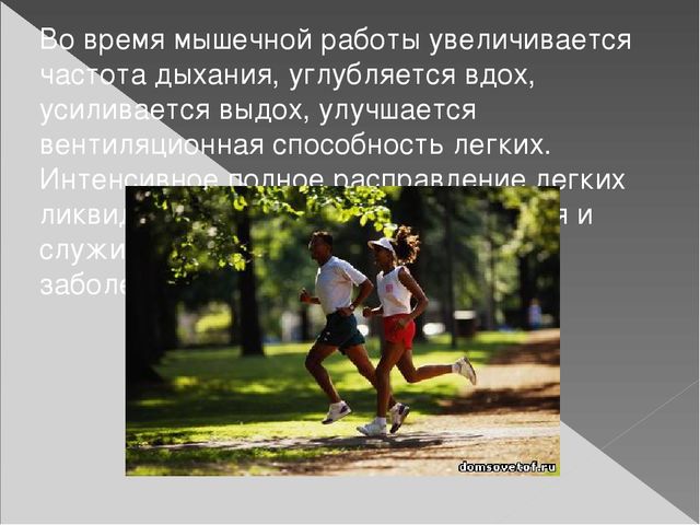 Презентация по физической культуре "Значения двигательной активности"