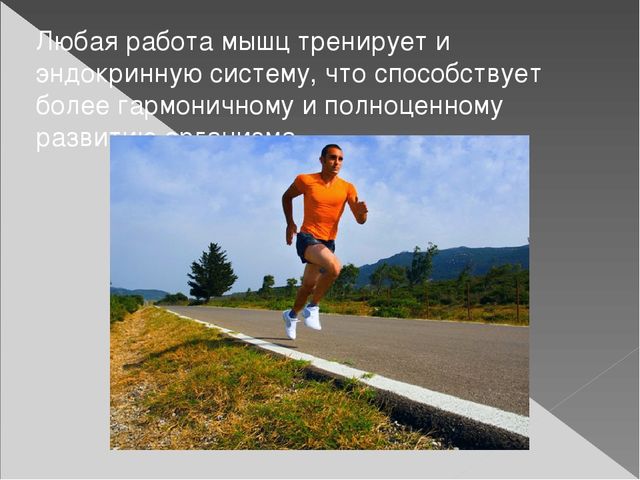 Презентация по физической культуре "Значения двигательной активности"