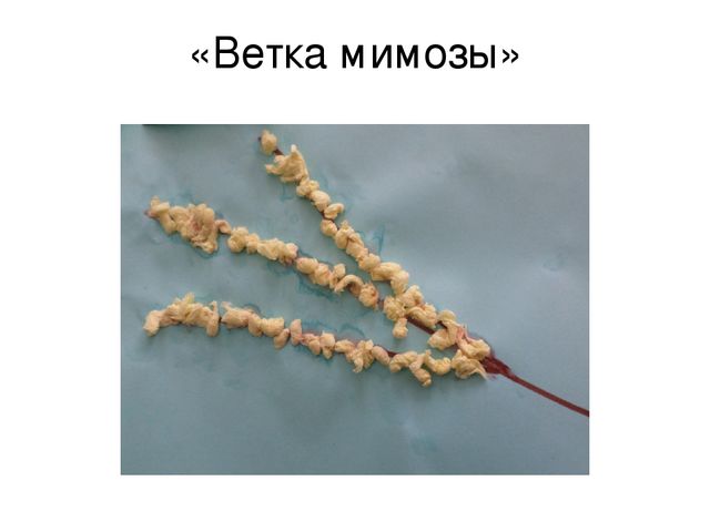 Презентация Кружок "Волшебные шарики во 2 младшей группе