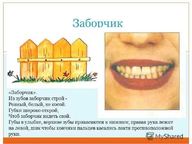 Презентация к логопедическому занятию "«Дифференциация звуков [с] и [ш]»