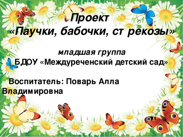 Презентация проекта "Паучки,бабочки. стрекозы"