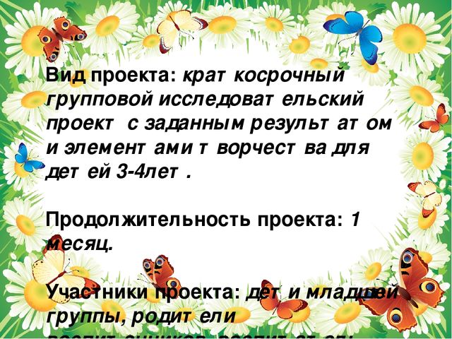 Презентация проекта "Паучки,бабочки. стрекозы"