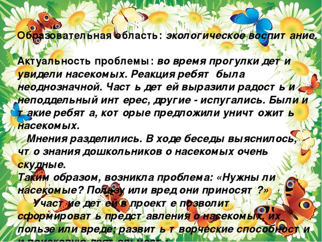 Презентация проекта "Паучки,бабочки. стрекозы"