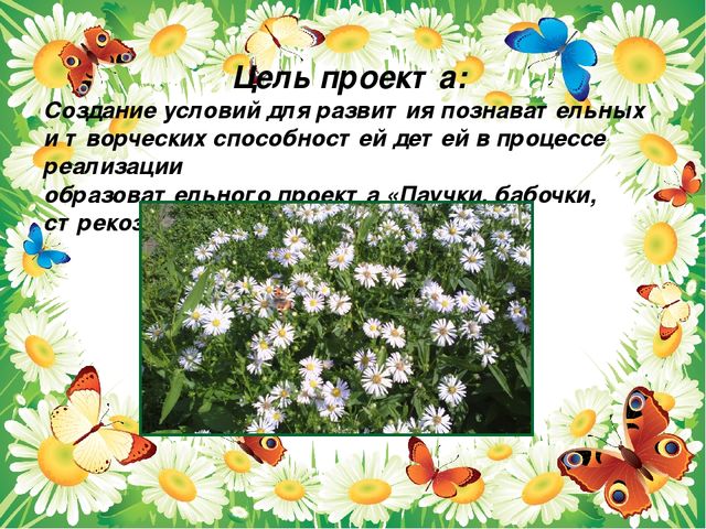 Презентация проекта "Паучки,бабочки. стрекозы"