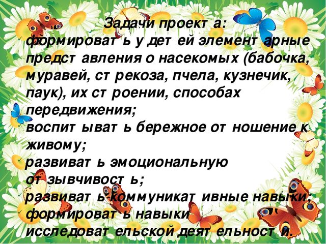 Презентация проекта "Паучки,бабочки. стрекозы"