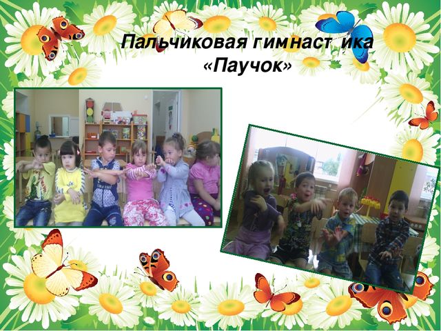 Презентация проекта "Паучки,бабочки. стрекозы"
