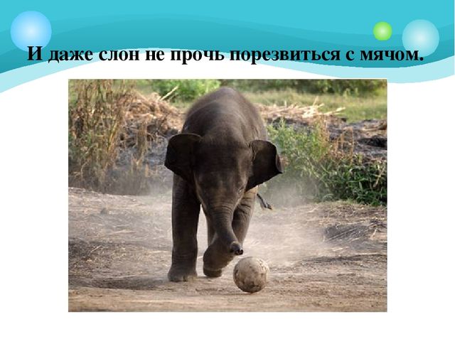 Презентация для подготовительной группы "Из истории мяча"