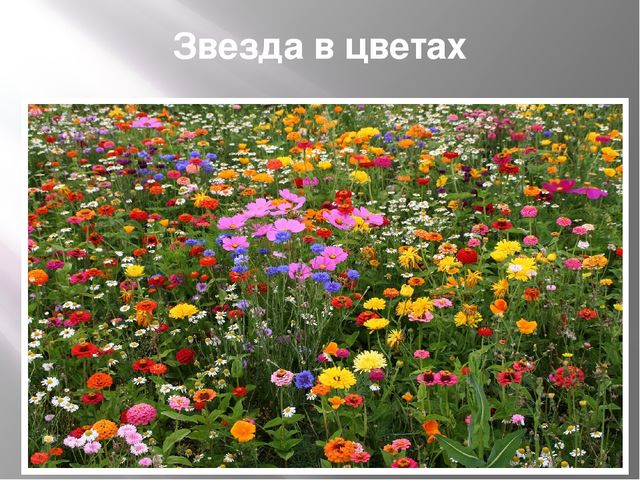 Презентация для дошкольников "Космос"