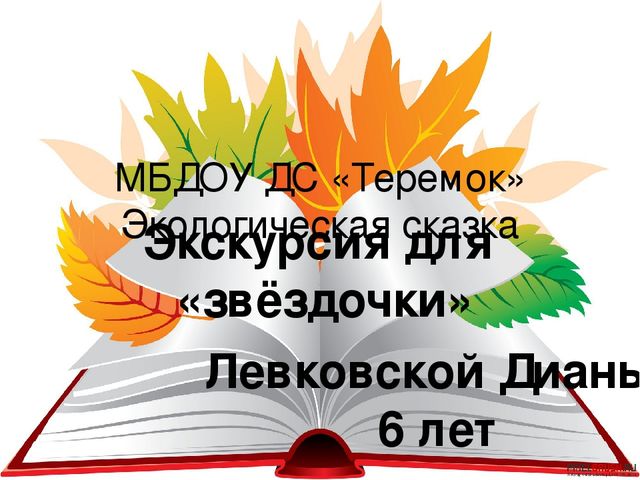 Презентация "Экскурсия для звездочки"