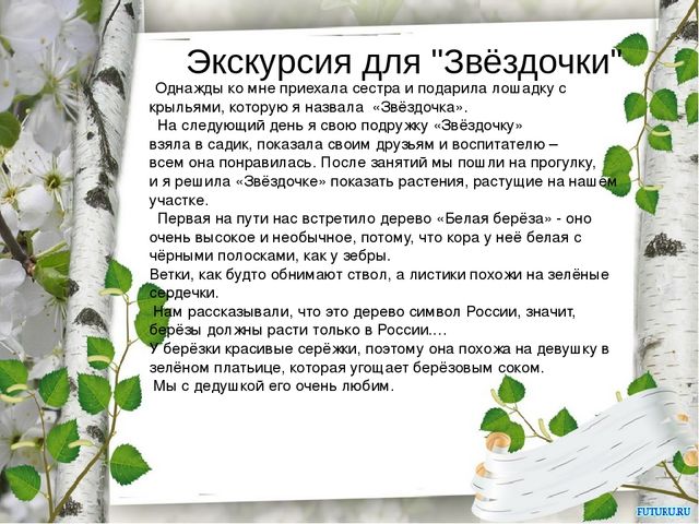 Презентация "Экскурсия для звездочки"