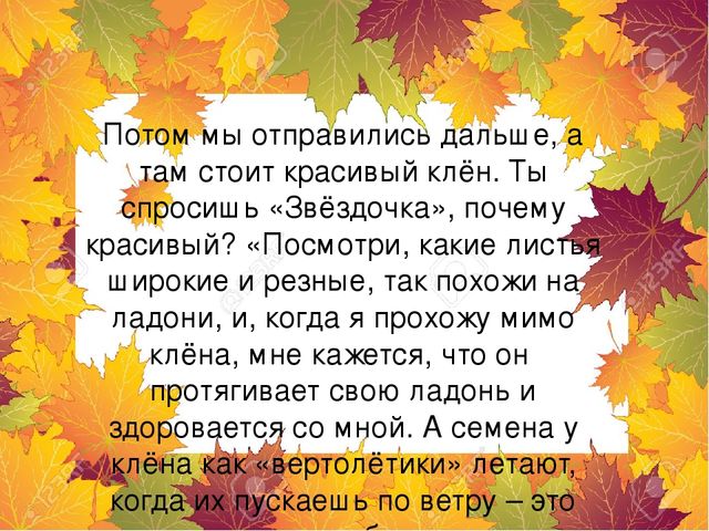Презентация "Экскурсия для звездочки"