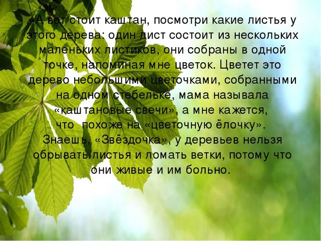Презентация "Экскурсия для звездочки"