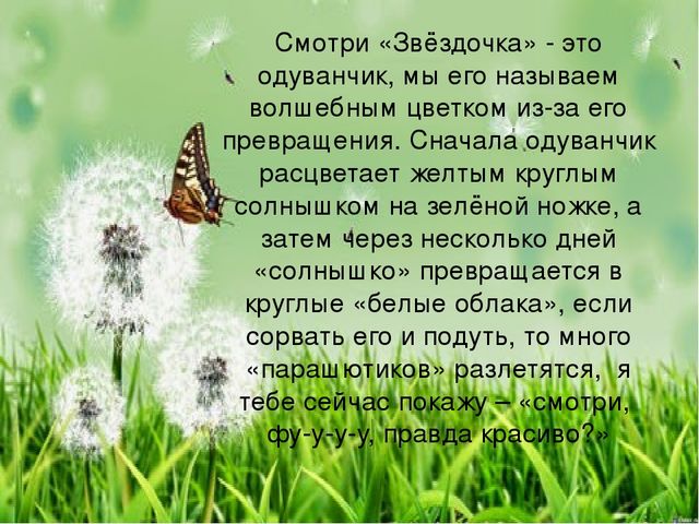 Презентация "Экскурсия для звездочки"