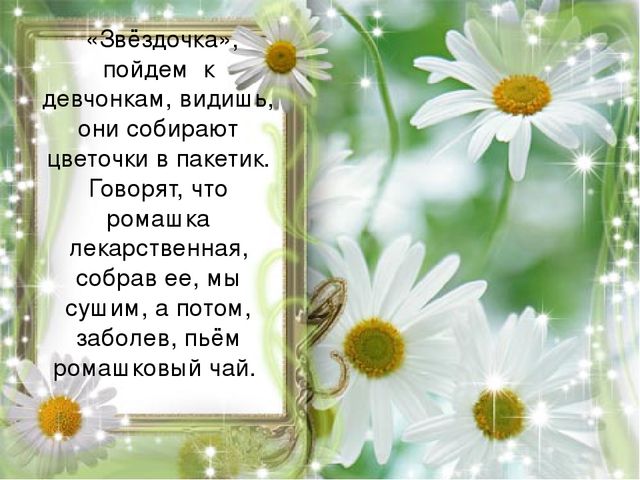 Презентация "Экскурсия для звездочки"