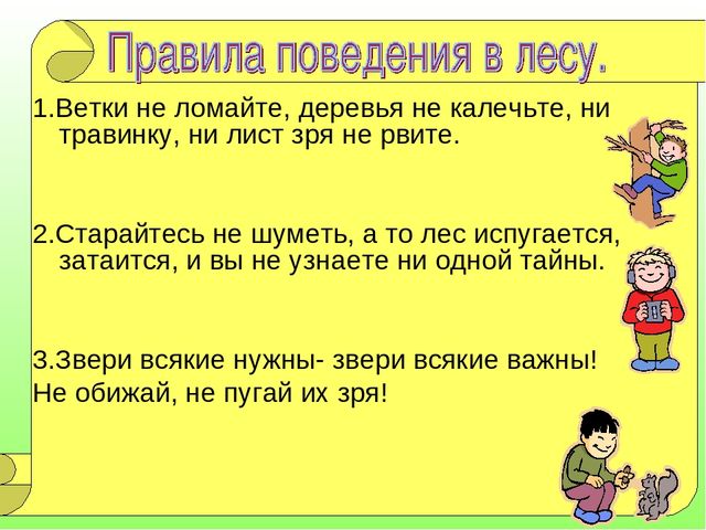 В гостях у Лесовичка