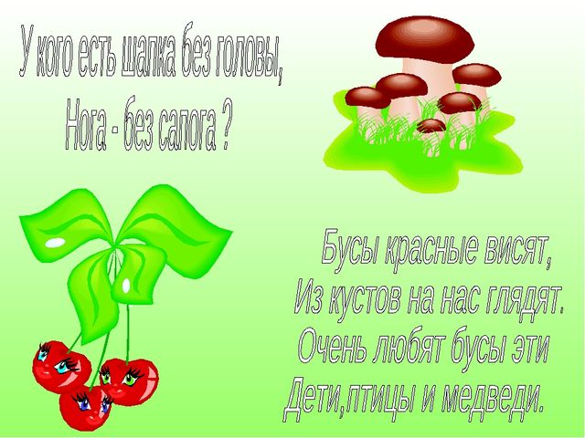 В гостях у Лесовичка