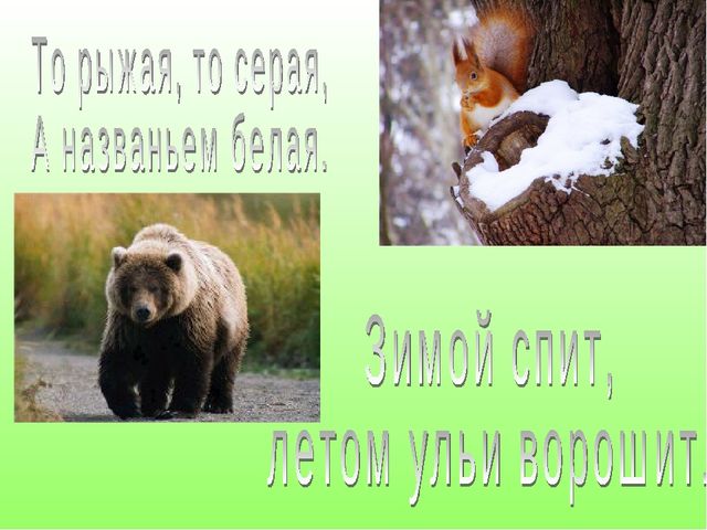 В гостях у Лесовичка