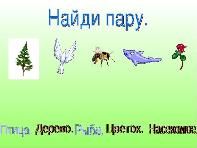 В гостях у Лесовичка