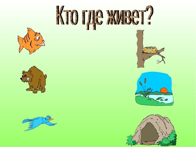 В гостях у Лесовичка