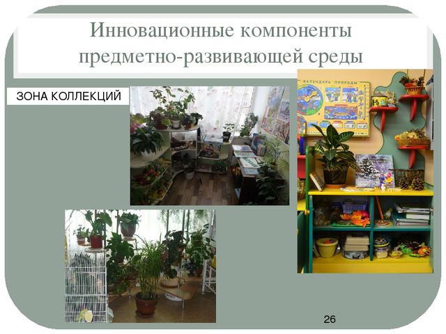 Презентация для педсовета "Организация предметно - развивающей среды ДОУ"