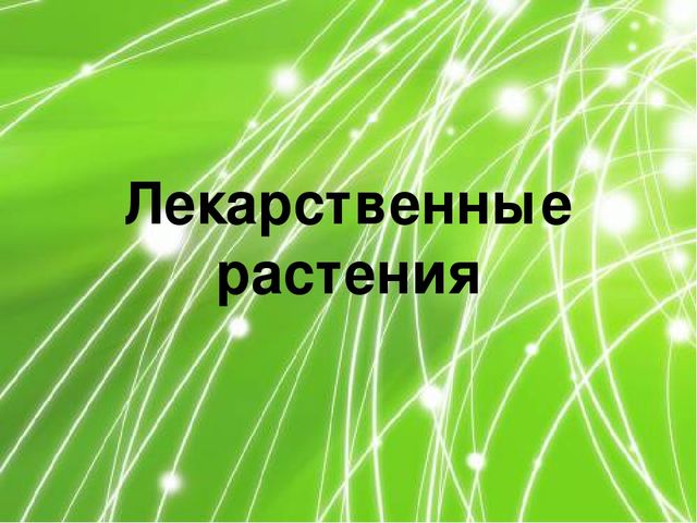 Презентация по ознакомлению с окружающим миром природы на тему "Лечебные травы" (подготовительная группа)