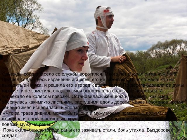 Презентация по ознакомлению с окружающим миром природы на тему "Лечебные травы" (подготовительная группа)