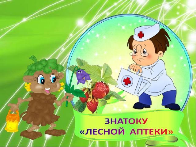 Презентация по ознакомлению с окружающим миром природы на тему "Лечебные травы" (подготовительная группа)