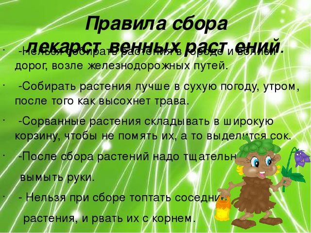 Презентация по ознакомлению с окружающим миром природы на тему "Лечебные травы" (подготовительная группа)