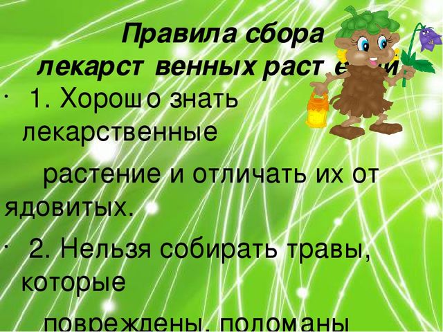 Презентация по ознакомлению с окружающим миром природы на тему "Лечебные травы" (подготовительная группа)