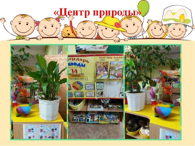 Опыт работы. Организация предметно-пространственной среды группы.