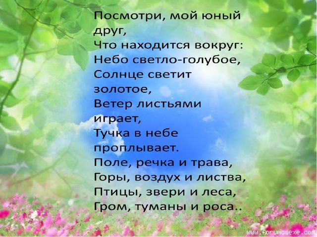 Презентация по экологическому воспитанию "Всемирный день защиты окружающей среды"