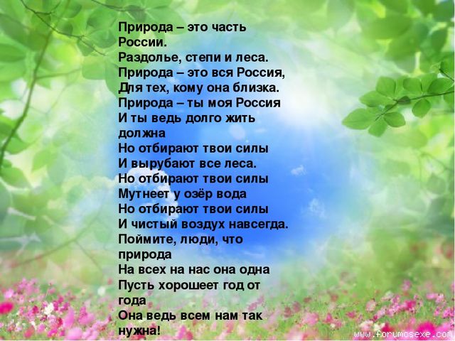 Презентация по экологическому воспитанию "Всемирный день защиты окружающей среды"