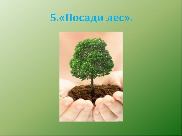 Презентация по экологическому воспитанию "Всемирный день защиты окружающей среды"